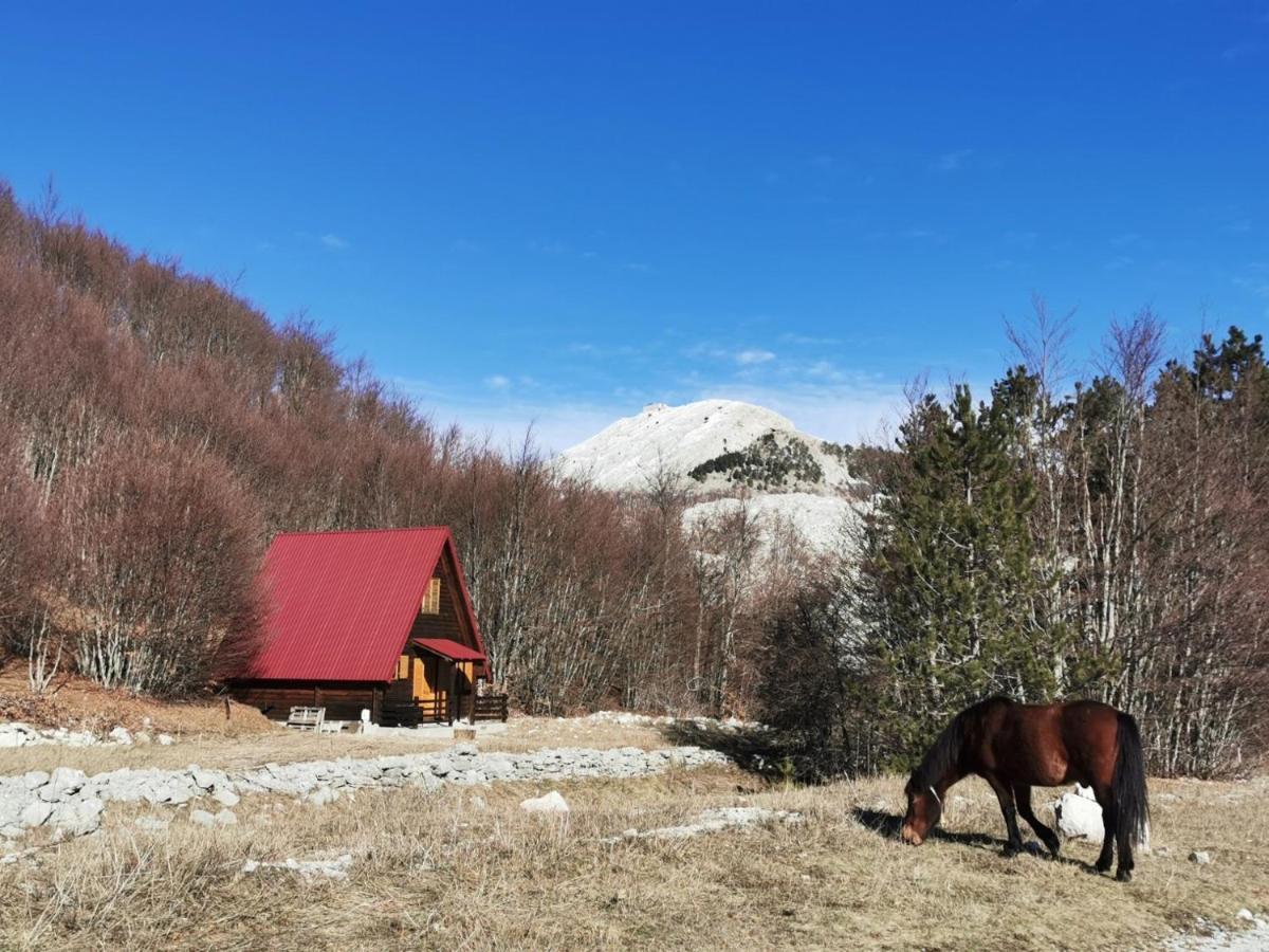 Breeze Home Cottage Cetinje Esterno foto